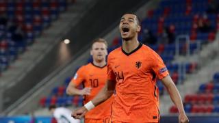 netherlands national team store