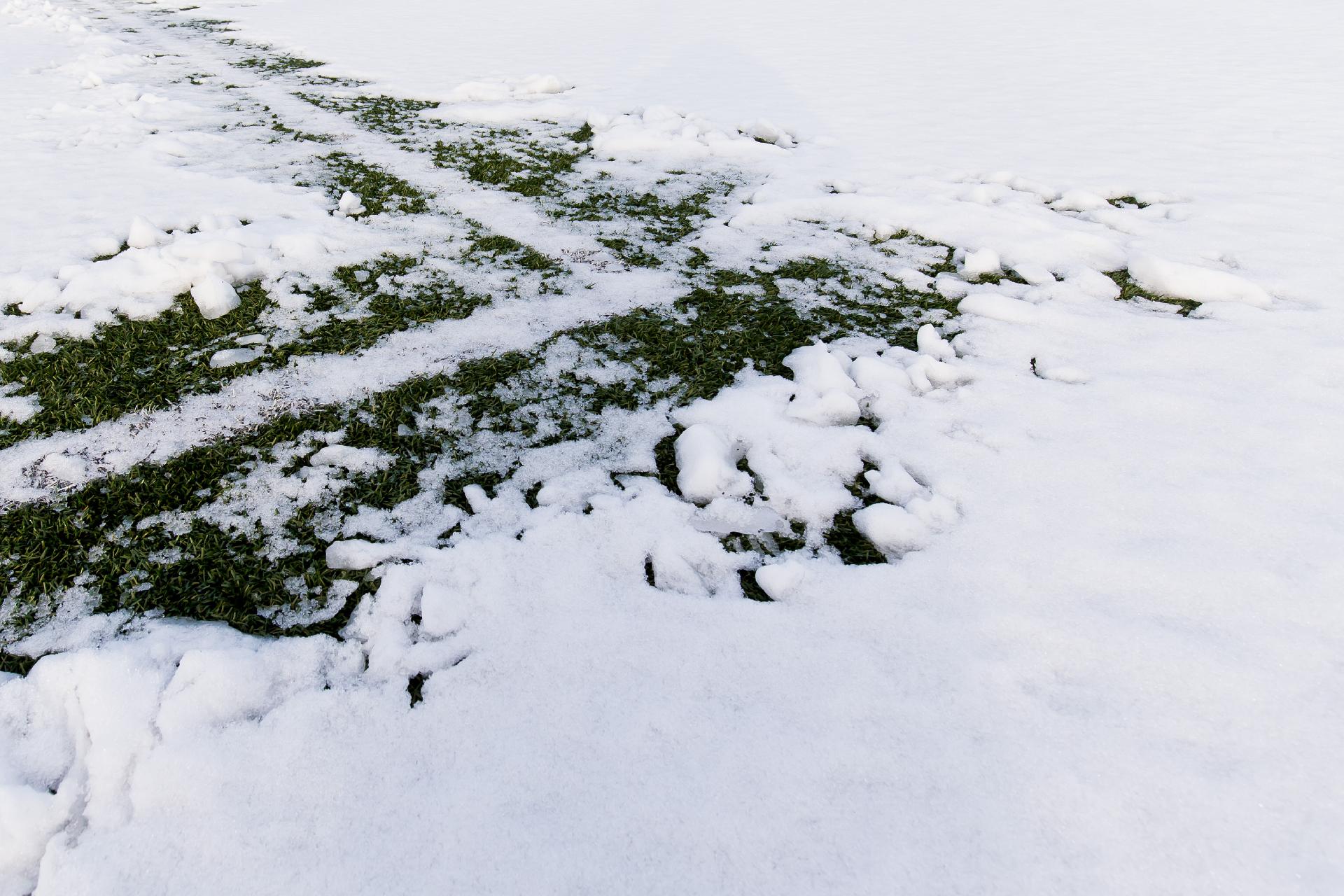 Volledig amateurvoetbal veld afgelast komend weekend