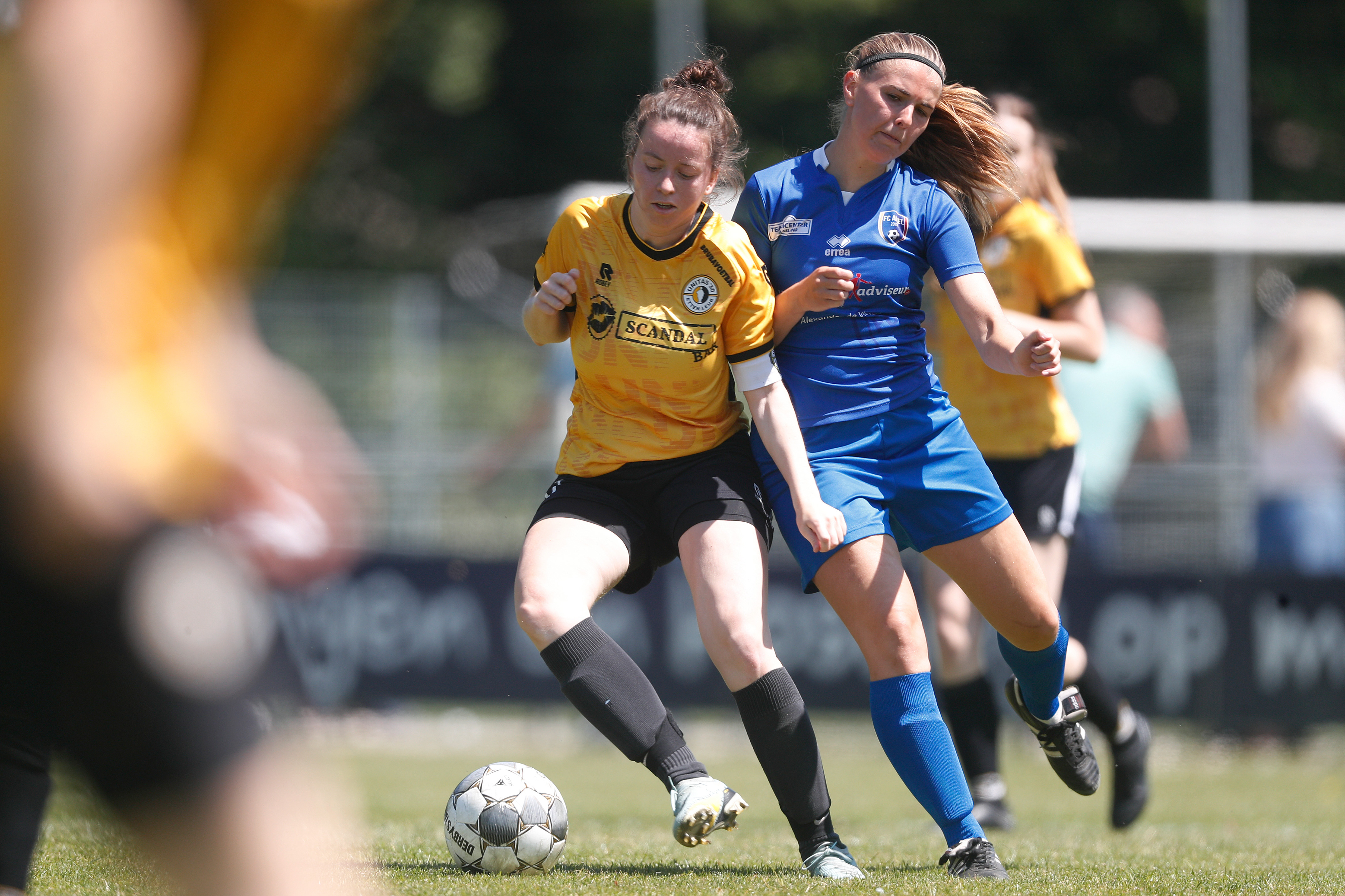Competitie-indelingen veld gepubliceerd