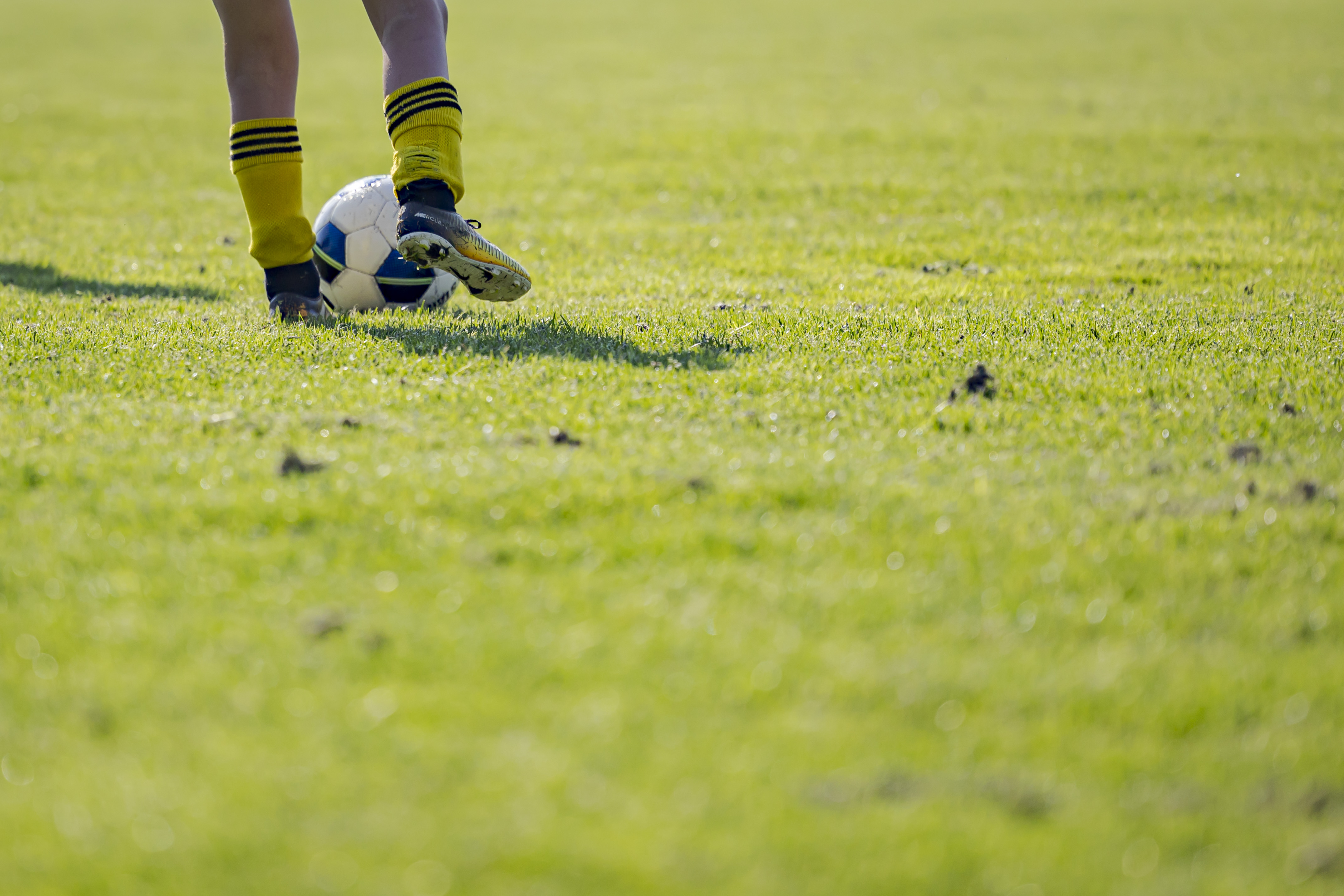 Wist je dat!? - een elftal interessante feiten over natuurgras voetbalvelden
