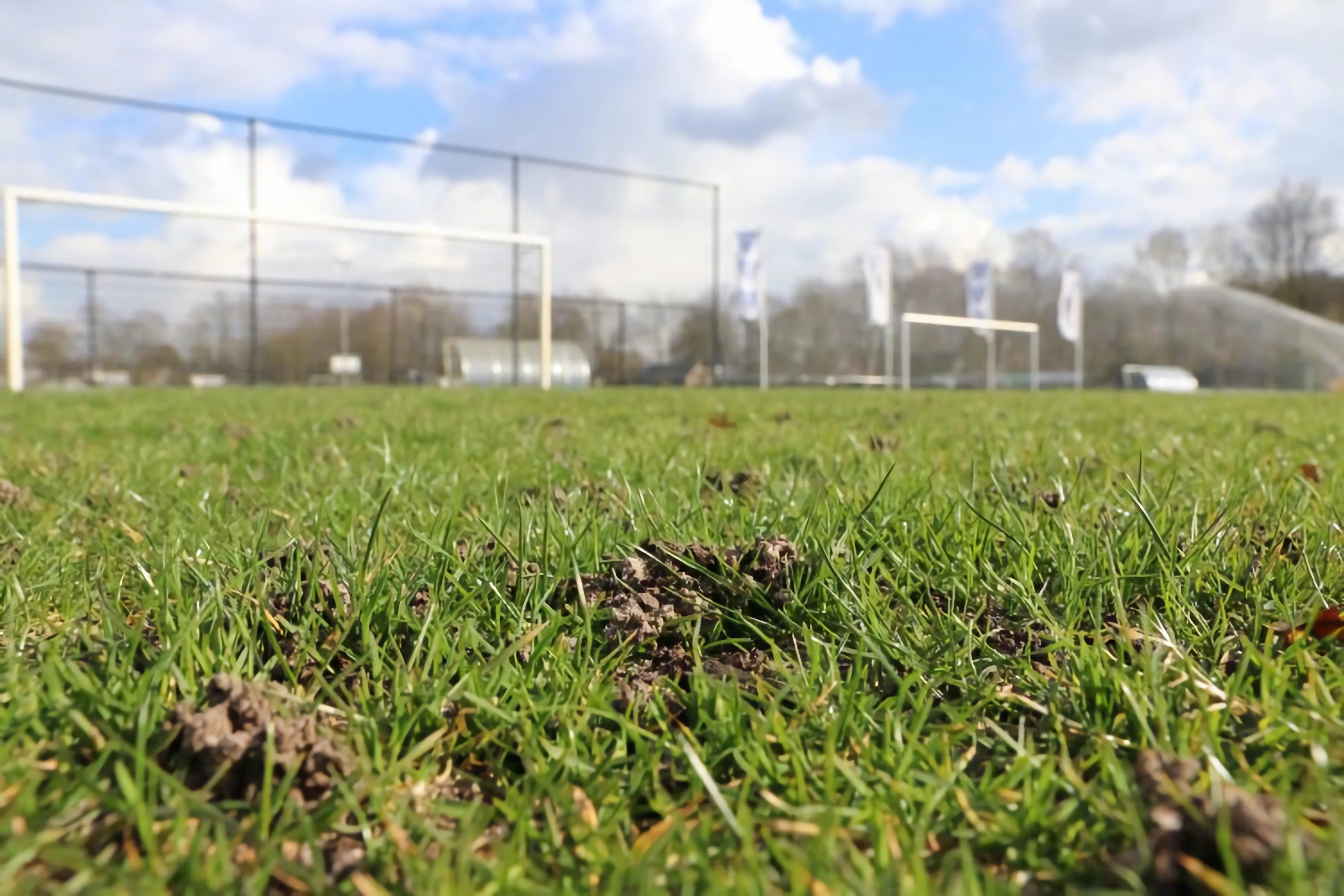 Wormen op het sportveld: Vriend of vijand?