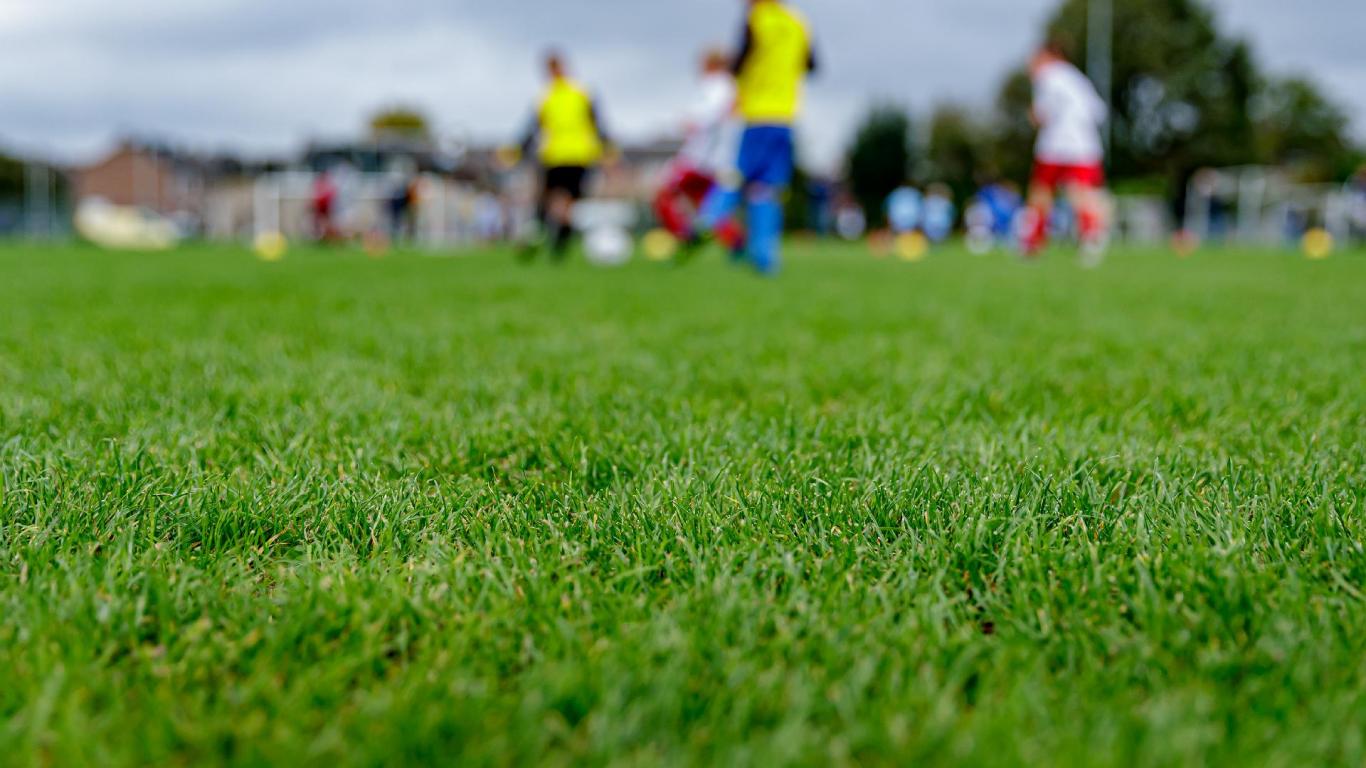 Innovatieplatform GRAS organiseert nieuwe kennisdagen in Rosmalen en Joure